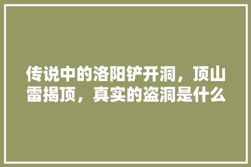 传说中的洛阳铲开洞，顶山雷揭顶，真实的盗洞是什么样子的，偃师水果西瓜种植时间表。 传说中的洛阳铲开洞，顶山雷揭顶，真实的盗洞是什么样子的，偃师水果西瓜种植时间表。 家禽养殖