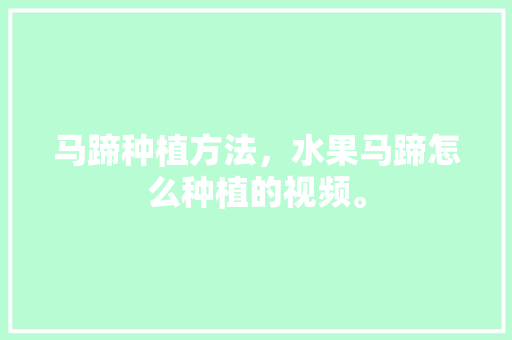 马蹄种植方法，水果马蹄怎么种植的视频。 马蹄种植方法，水果马蹄怎么种植的视频。 土壤施肥