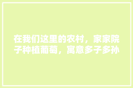 在我们这里的农村，家家院子种植葡萄，寓意多子多孙，还可以种哪些植物？有何寓意，精品水果种植户名单。 在我们这里的农村，家家院子种植葡萄，寓意多子多孙，还可以种哪些植物？有何寓意，精品水果种植户名单。 水果种植