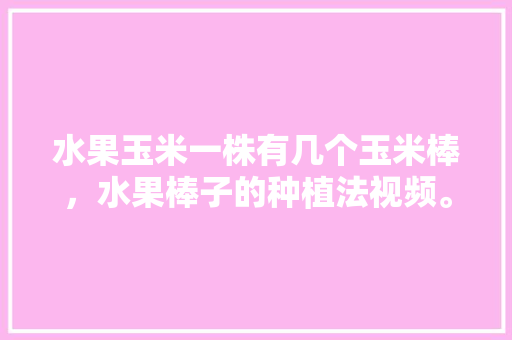 水果玉米一株有几个玉米棒，水果棒子的种植法视频。 水果玉米一株有几个玉米棒，水果棒子的种植法视频。 水果种植