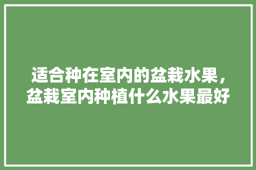 适合种在室内的盆栽水果，盆栽室内种植什么水果最好。 适合种在室内的盆栽水果，盆栽室内种植什么水果最好。 水果种植