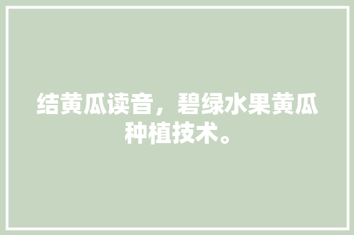 结黄瓜读音，碧绿水果黄瓜种植技术。 结黄瓜读音，碧绿水果黄瓜种植技术。 水果种植