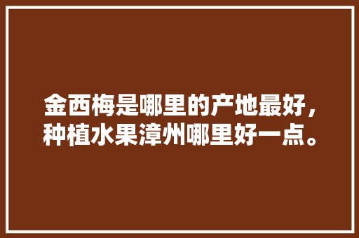 金西梅是哪里的产地最好，种植水果漳州哪里好一点。 金西梅是哪里的产地最好，种植水果漳州哪里好一点。 水果种植