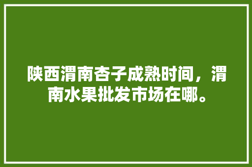 陕西渭南杏子成熟时间，渭南水果批发市场在哪。 陕西渭南杏子成熟时间，渭南水果批发市场在哪。 畜牧养殖