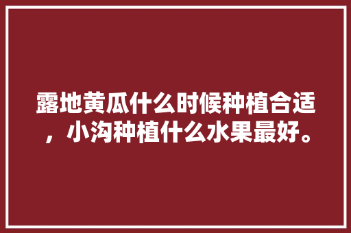 露地黄瓜什么时候种植合适，小沟种植什么水果最好。 露地黄瓜什么时候种植合适，小沟种植什么水果最好。 水果种植