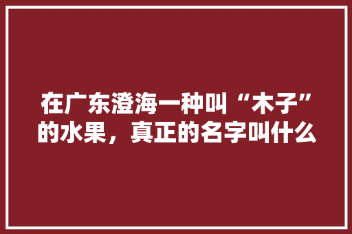 在广东澄海一种叫“木子”的水果，真正的名字叫什么，汕头澄海水果种植基地。 在广东澄海一种叫“木子”的水果，真正的名字叫什么，汕头澄海水果种植基地。 土壤施肥