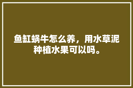 鱼缸蜗牛怎么养，用水草泥种植水果可以吗。 鱼缸蜗牛怎么养，用水草泥种植水果可以吗。 蔬菜种植