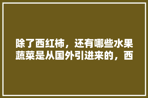 除了西红柿，还有哪些水果蔬菜是从国外引进来的，西方适合种植什么水果树。 除了西红柿，还有哪些水果蔬菜是从国外引进来的，西方适合种植什么水果树。 土壤施肥