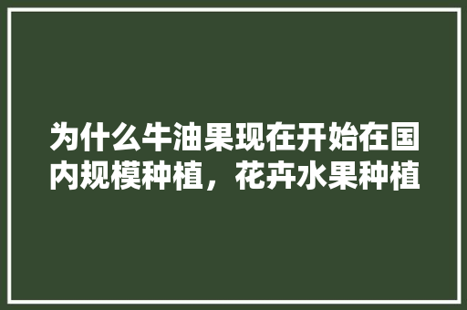 为什么牛油果现在开始在国内规模种植，花卉水果种植博主推荐。 为什么牛油果现在开始在国内规模种植，花卉水果种植博主推荐。 蔬菜种植