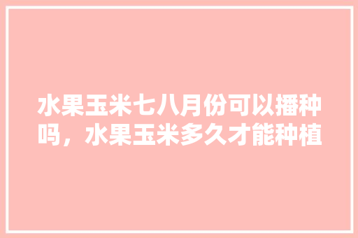 水果玉米七八月份可以播种吗，水果玉米多久才能种植成熟。 水果玉米七八月份可以播种吗，水果玉米多久才能种植成熟。 土壤施肥