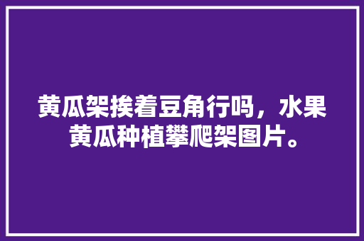 黄瓜架挨着豆角行吗，水果黄瓜种植攀爬架图片。 黄瓜架挨着豆角行吗，水果黄瓜种植攀爬架图片。 土壤施肥