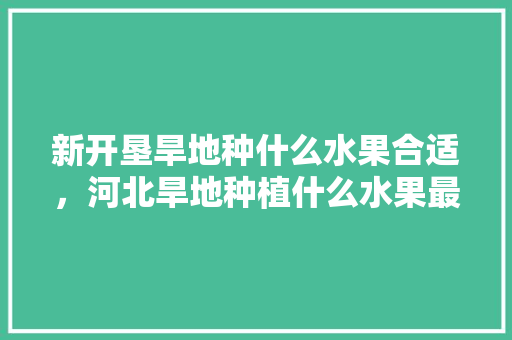 新开垦旱地种什么水果合适，河北旱地种植什么水果最好。 新开垦旱地种什么水果合适，河北旱地种植什么水果最好。 水果种植