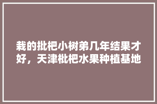 栽的批杷小树弟几年结果才好，天津枇杷水果种植基地在哪里。 栽的批杷小树弟几年结果才好，天津枇杷水果种植基地在哪里。 家禽养殖