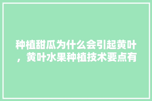 种植甜瓜为什么会引起黄叶，黄叶水果种植技术要点有哪些。 种植甜瓜为什么会引起黄叶，黄叶水果种植技术要点有哪些。 畜牧养殖