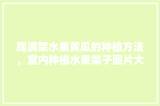 爬满架水果黄瓜的种植方法，室内种植水果架子图片大全。 爬满架水果黄瓜的种植方法，室内种植水果架子图片大全。 家禽养殖