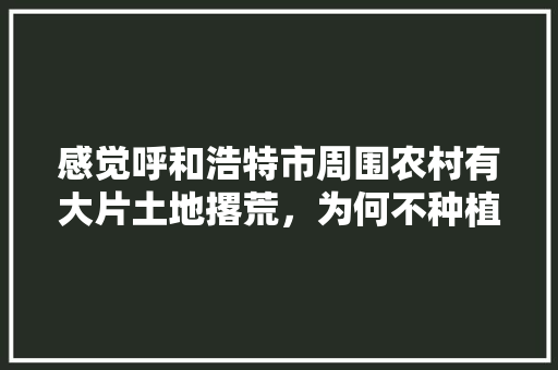 感觉呼和浩特市周围农村有大片土地撂荒，为何不种植蔬菜水果，中国不能种植哪些水果呢。 感觉呼和浩特市周围农村有大片土地撂荒，为何不种植蔬菜水果，中国不能种植哪些水果呢。 蔬菜种植