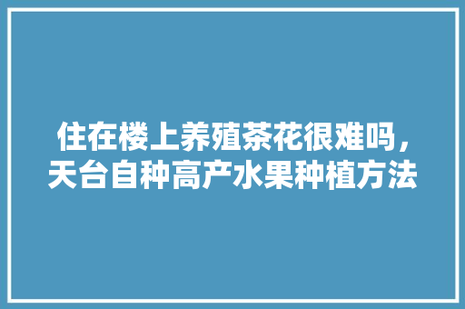 住在楼上养殖茶花很难吗，天台自种高产水果种植方法。 住在楼上养殖茶花很难吗，天台自种高产水果种植方法。 水果种植