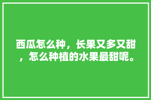 西瓜怎么种，长果又多又甜，怎么种植的水果最甜呢。 西瓜怎么种，长果又多又甜，怎么种植的水果最甜呢。 水果种植