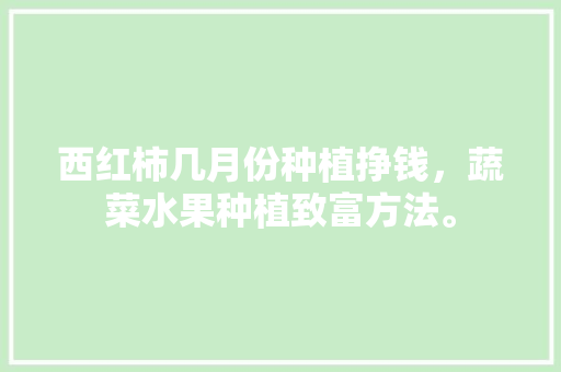 西红柿几月份种植挣钱，蔬菜水果种植致富方法。 西红柿几月份种植挣钱，蔬菜水果种植致富方法。 土壤施肥