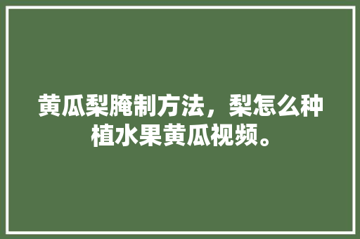 黄瓜梨腌制方法，梨怎么种植水果黄瓜视频。 黄瓜梨腌制方法，梨怎么种植水果黄瓜视频。 蔬菜种植