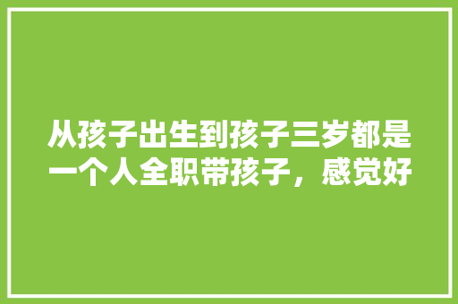 从孩子出生到孩子三岁都是一个人全职带孩子，感觉好累而且身体精神被掏空，脾气暴躁烦躁，怎么办，曾仕强 水。 从孩子出生到孩子三岁都是一个人全职带孩子，感觉好累而且身体精神被掏空，脾气暴躁烦躁，怎么办，曾仕强 水。 水果种植