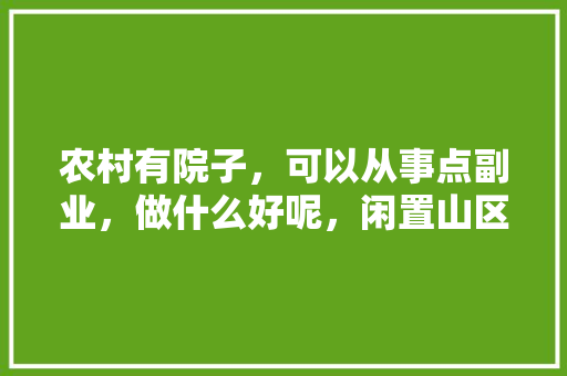 农村有院子，可以从事点副业，做什么好呢，闲置山区种植水果有哪些。 农村有院子，可以从事点副业，做什么好呢，闲置山区种植水果有哪些。 土壤施肥