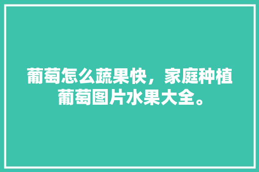 葡萄怎么蔬果快，家庭种植葡萄图片水果大全。 葡萄怎么蔬果快，家庭种植葡萄图片水果大全。 土壤施肥