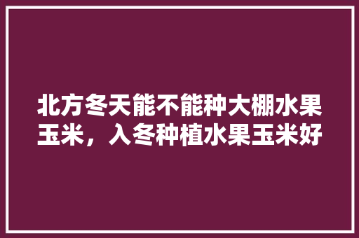 北方冬天能不能种大棚水果玉米，入冬种植水果玉米好吗视频。 北方冬天能不能种大棚水果玉米，入冬种植水果玉米好吗视频。 水果种植