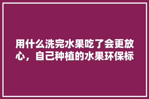 用什么洗完水果吃了会更放心，自己种植的水果环保标语。 用什么洗完水果吃了会更放心，自己种植的水果环保标语。 水果种植