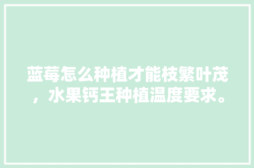 蓝莓怎么种植才能枝繁叶茂，水果钙王种植温度要求。 蓝莓怎么种植才能枝繁叶茂，水果钙王种植温度要求。 畜牧养殖