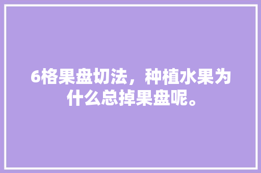 6格果盘切法，种植水果为什么总掉果盘呢。 6格果盘切法，种植水果为什么总掉果盘呢。 畜牧养殖