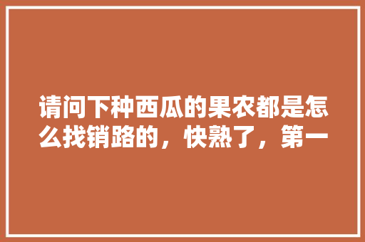 请问下种西瓜的果农都是怎么找销路的，快熟了，第一次种西瓜不懂，精品水果种植 销售方案。 请问下种西瓜的果农都是怎么找销路的，快熟了，第一次种西瓜不懂，精品水果种植 销售方案。 家禽养殖