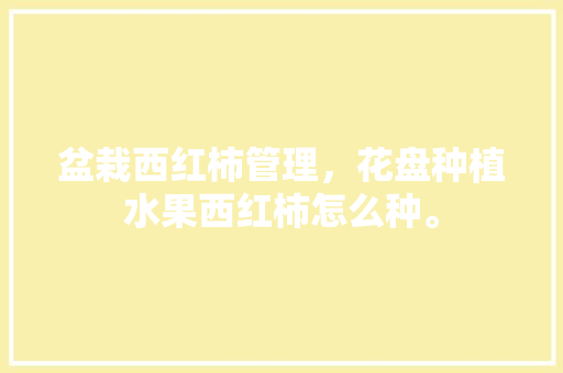 盆栽西红柿管理，花盘种植水果西红柿怎么种。 盆栽西红柿管理，花盘种植水果西红柿怎么种。 家禽养殖