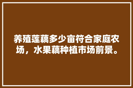 养殖莲藕多少亩符合家庭农场，水果藕种植市场前景。 养殖莲藕多少亩符合家庭农场，水果藕种植市场前景。 水果种植