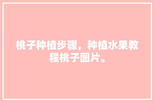 桃子种植步骤，种植水果教程桃子图片。 桃子种植步骤，种植水果教程桃子图片。 蔬菜种植