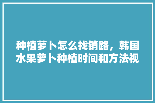 种植萝卜怎么找销路，韩国水果萝卜种植时间和方法视频。 种植萝卜怎么找销路，韩国水果萝卜种植时间和方法视频。 家禽养殖