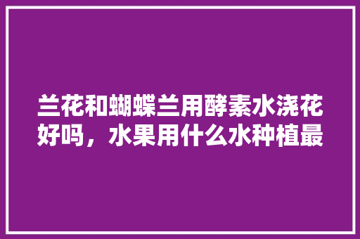 兰花和蝴蝶兰用酵素水浇花好吗，水果用什么水种植最好。 兰花和蝴蝶兰用酵素水浇花好吗，水果用什么水种植最好。 水果种植