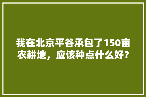 我在北京平谷承包了150亩农耕地，应该种点什么好？还是找合伙人，150亩水果种植基地图片。 我在北京平谷承包了150亩农耕地，应该种点什么好？还是找合伙人，150亩水果种植基地图片。 家禽养殖