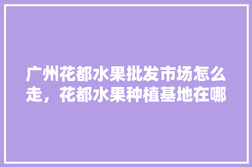 广州花都水果批发市场怎么走，花都水果种植基地在哪里。 广州花都水果批发市场怎么走，花都水果种植基地在哪里。 水果种植