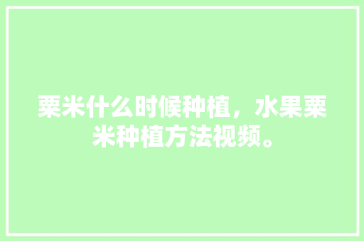 粟米什么时候种植，水果粟米种植方法视频。 粟米什么时候种植，水果粟米种植方法视频。 水果种植