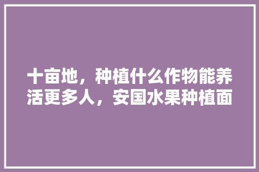 十亩地，种植什么作物能养活更多人，安国水果种植面积。 十亩地，种植什么作物能养活更多人，安国水果种植面积。 水果种植