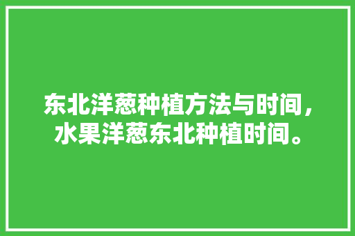 东北洋葱种植方法与时间，水果洋葱东北种植时间。 东北洋葱种植方法与时间，水果洋葱东北种植时间。 土壤施肥