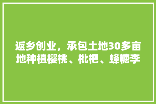 返乡创业，承包土地30多亩地种植樱桃、枇杷、蜂糖李、桃子、八月瓜、无花果，有前途吗，种植水果小哥视频大全。 返乡创业，承包土地30多亩地种植樱桃、枇杷、蜂糖李、桃子、八月瓜、无花果，有前途吗，种植水果小哥视频大全。 水果种植