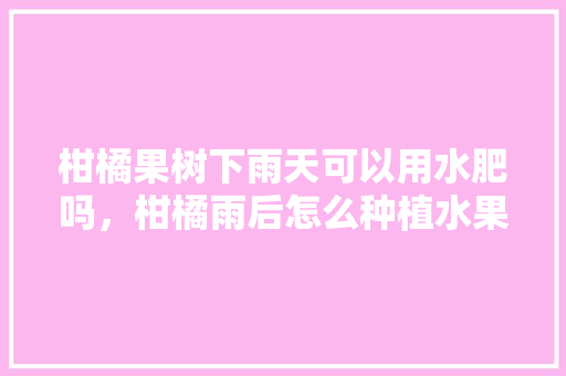 柑橘果树下雨天可以用水肥吗，柑橘雨后怎么种植水果好。 柑橘果树下雨天可以用水肥吗，柑橘雨后怎么种植水果好。 畜牧养殖