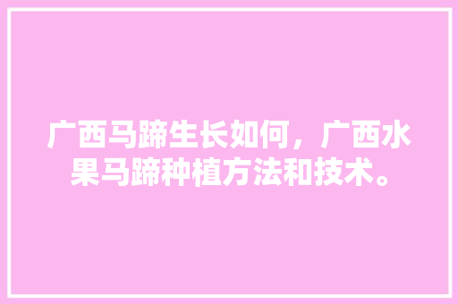 广西马蹄生长如何，广西水果马蹄种植方法和技术。 广西马蹄生长如何，广西水果马蹄种植方法和技术。 蔬菜种植