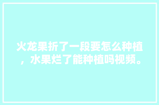 火龙果折了一段要怎么种植，水果烂了能种植吗视频。 火龙果折了一段要怎么种植，水果烂了能种植吗视频。 畜牧养殖