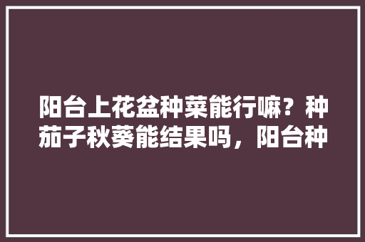 阳台上花盆种菜能行嘛？种茄子秋葵能结果吗，阳台种植蔬菜与水果的区别。 阳台上花盆种菜能行嘛？种茄子秋葵能结果吗，阳台种植蔬菜与水果的区别。 蔬菜种植