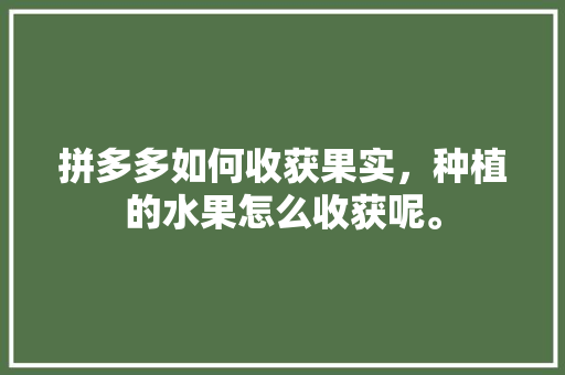 拼多多如何收获果实，种植的水果怎么收获呢。 拼多多如何收获果实，种植的水果怎么收获呢。 畜牧养殖