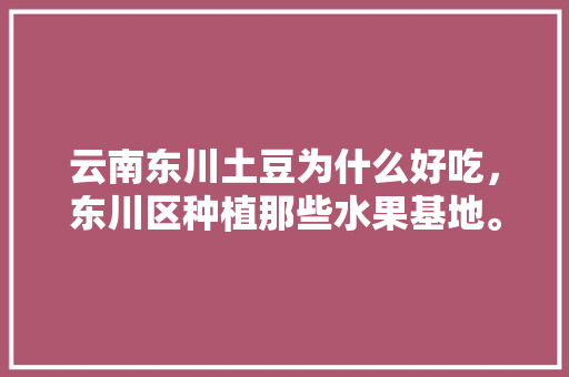 云南东川土豆为什么好吃，东川区种植那些水果基地。 云南东川土豆为什么好吃，东川区种植那些水果基地。 畜牧养殖