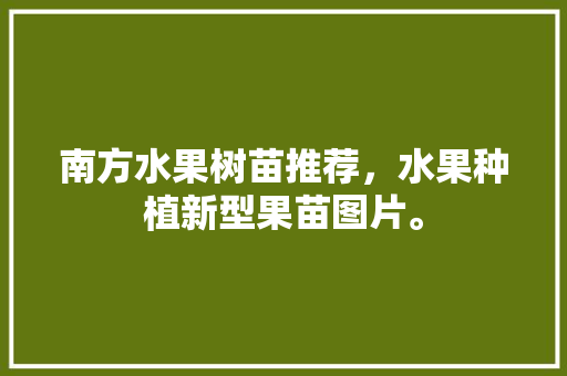 南方水果树苗推荐，水果种植新型果苗图片。 南方水果树苗推荐，水果种植新型果苗图片。 土壤施肥